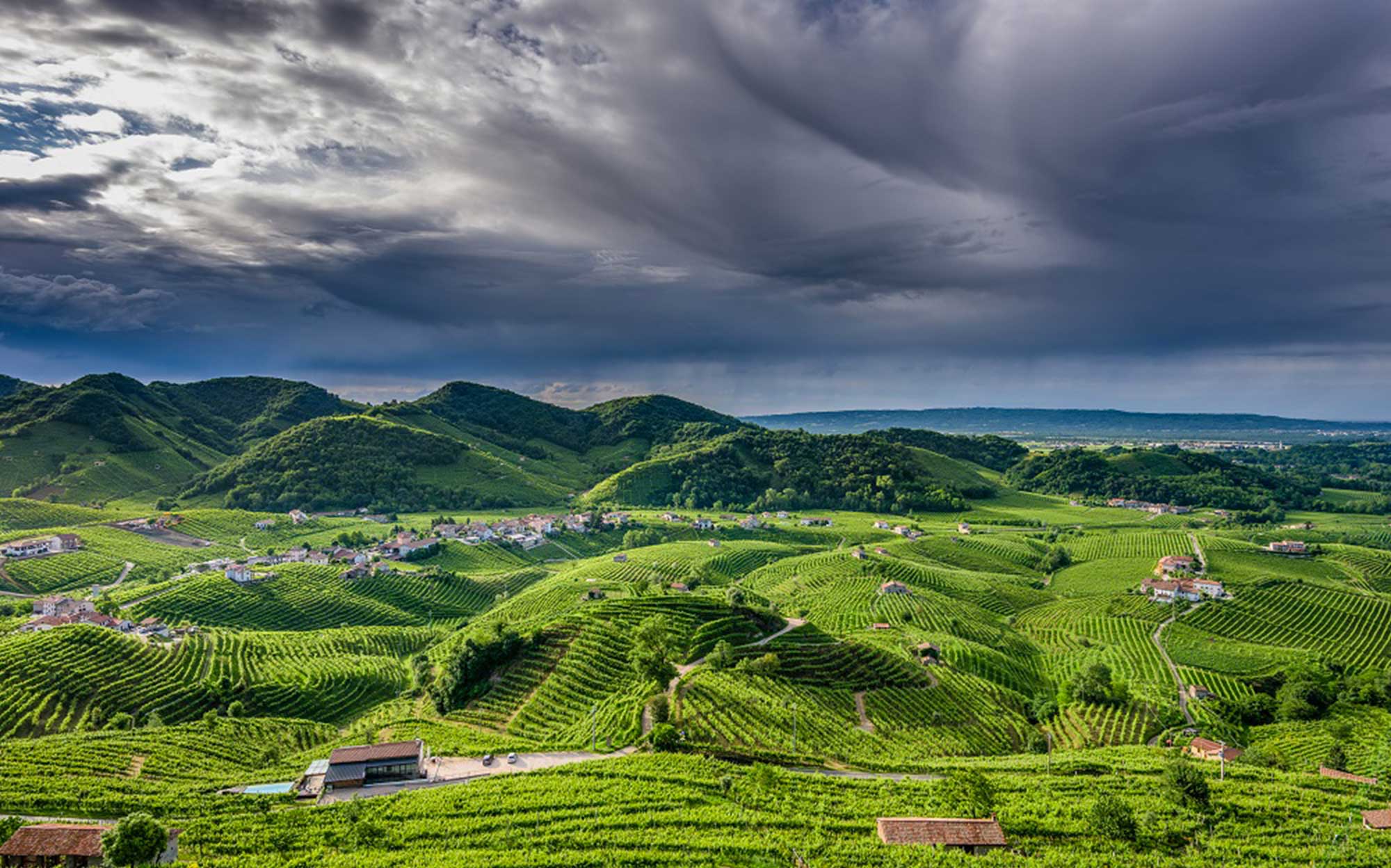 colline del prosecco